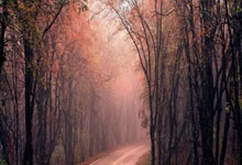 乐鱼体育：[CBA]全明星周末 星锐队一胜一负.