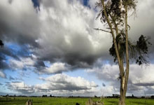 [冠军欧洲]皇马任意球贝尔后蹭 拉莫斯抢点破门.