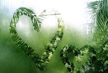 乐鱼体育：[CBA]全明星周末 星锐队一胜一负.